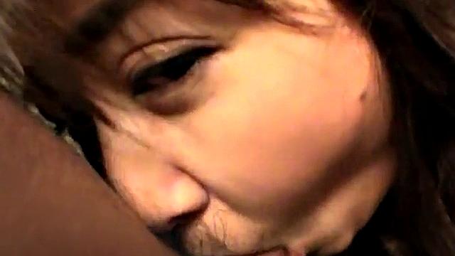 Cock sucking asian gives head eagerly