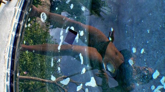 Brown Bikini Extravaganza