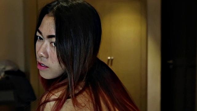 Gentle Cutie Explored