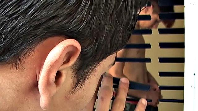 Mario, Trend and Tomas