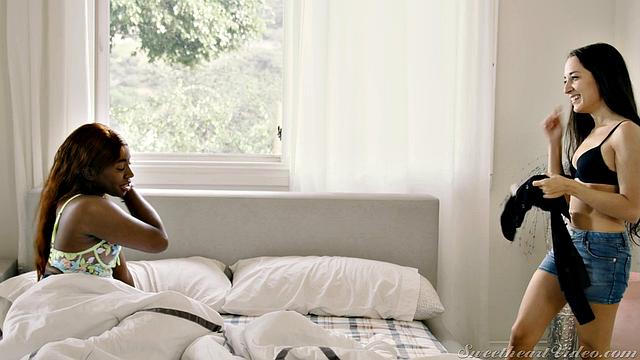 Lesbian Beauties 22 - Interracial: Scene 2 - Last Night's Events