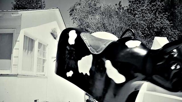 Natural Big Tits Asian Alexia Anders Rides Cowgirl Hardcore