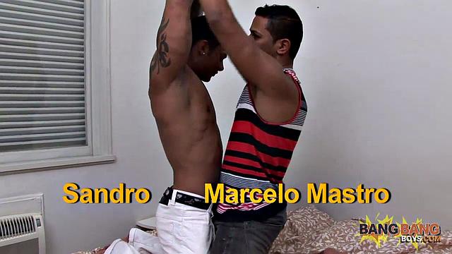Marcello Mastro Bangs Sandro