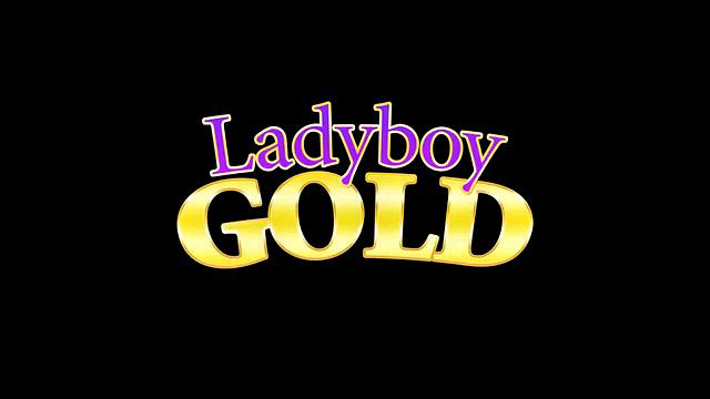 Counter Top Bareback One