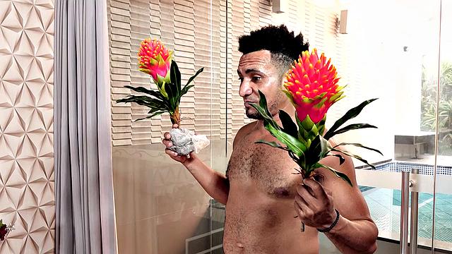 TS Knockout Isabelle Discordi Gets Creampied