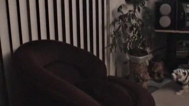 Blow Me, Boy Enrique