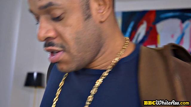 Stunning cougar destroyed by BBC