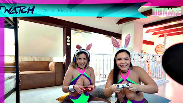 Busty gaming babes fucked in hostel 3way