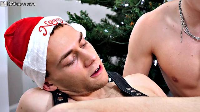 Christmas Under The Tree Tonight