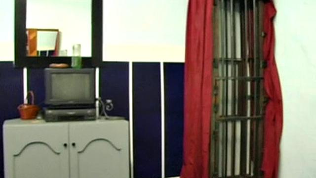 Girls Of Pain 4: Bunny Submission