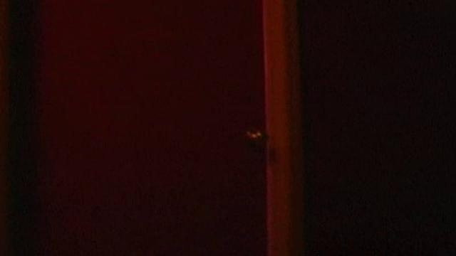 Girls Of Pain 4: Bunny Submission