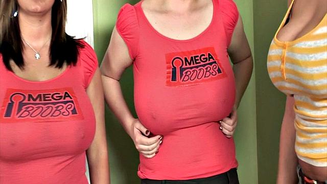 Pounding The Pledges 4