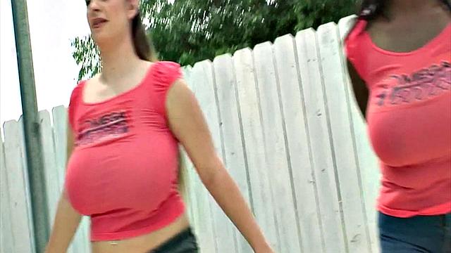 Pounding The Pledges 4