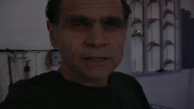 Pussy Torment: Vicci