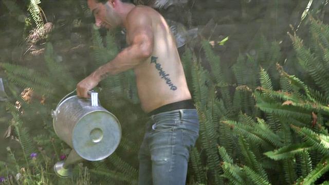 Two Cocks for Mia Magnusson