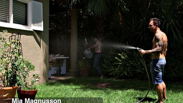 Two Cocks for Mia Magnusson