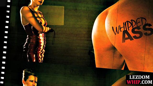 Naughty sub gets hard pussytoyed