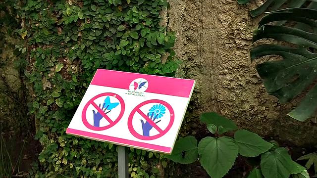 Adorable young girlfriend gets smashed with big jock