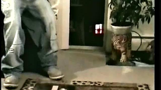 Straight Buzz Gets Fucked