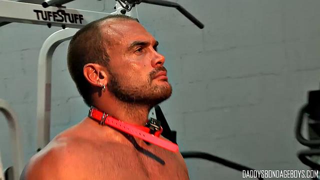 Gym Workout Agony - Part 8 - Colin Steele & Jessie Balboa