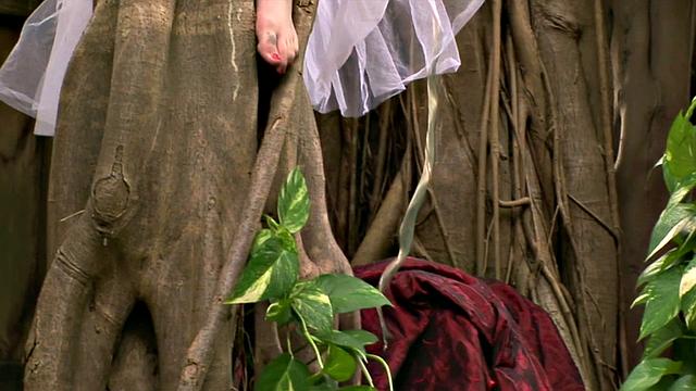 Рыжая фея Сейдж Эйрин раздевается и играет ножками в лесу