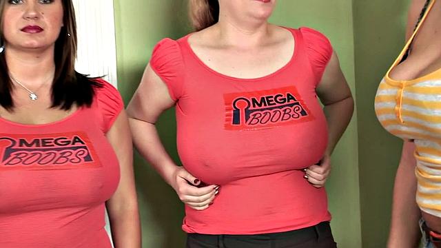 Pounding The Pledges 1