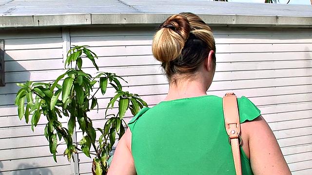 Pounding The Pledges 1