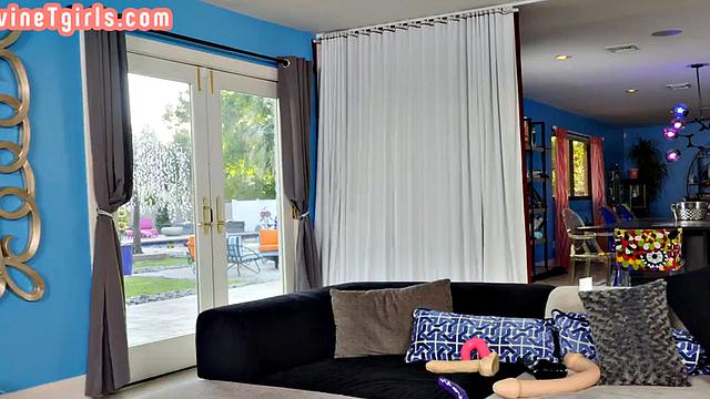 Trans beauty fucks couple