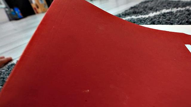 Secretary pleases her boss