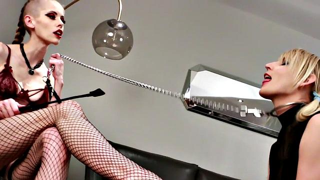 Trans petbondage ruling