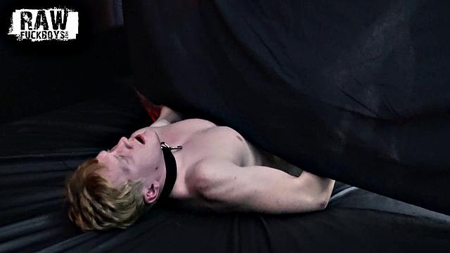 спенсер и логан забили на резинку и на всякие приличия