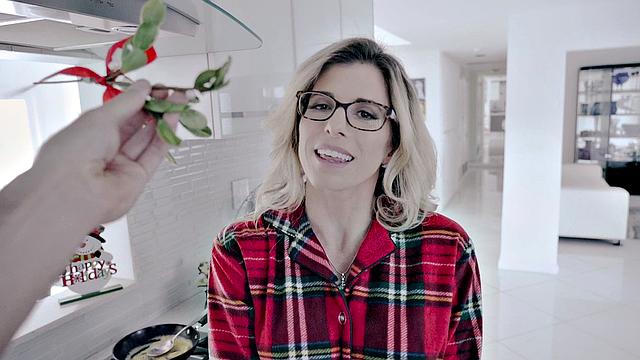 Merry MILFs Christmas