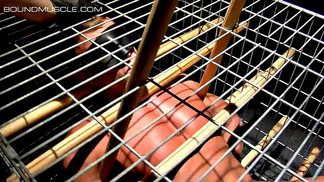 Muscle Dungeon Games - Part 3 - Tyler Saint & Dire Callahan