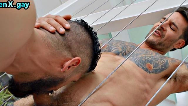 Deepthroating jock nailed by his tattooed BF