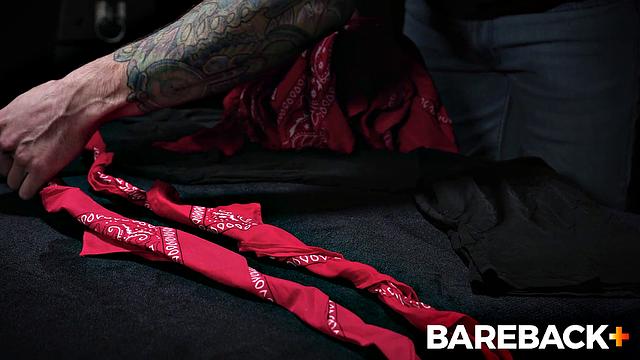 Marking The Stallions VOL. 1