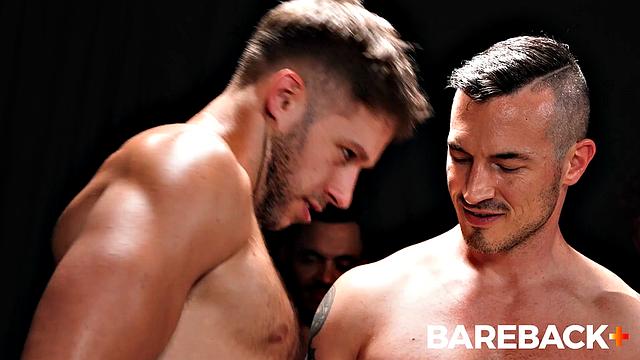 Marking The Stallions VOL. 1