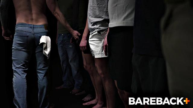 Marking The Stallions VOL. 1