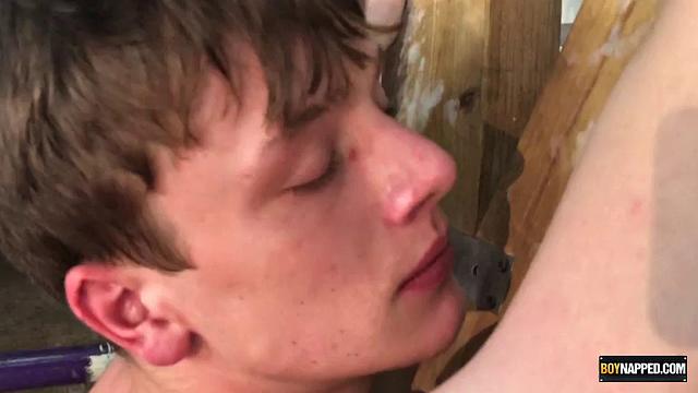 Two Twink Newbies Go Bareback! Part 2 - Alex Faux, Avery Monroe, Sean Taylor, Sebastian Kane