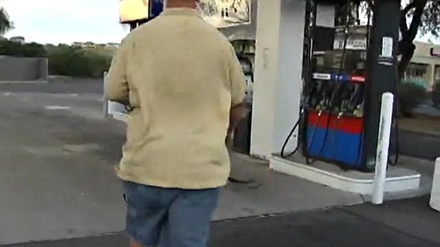 Fat Brunette Sizes Up Cock