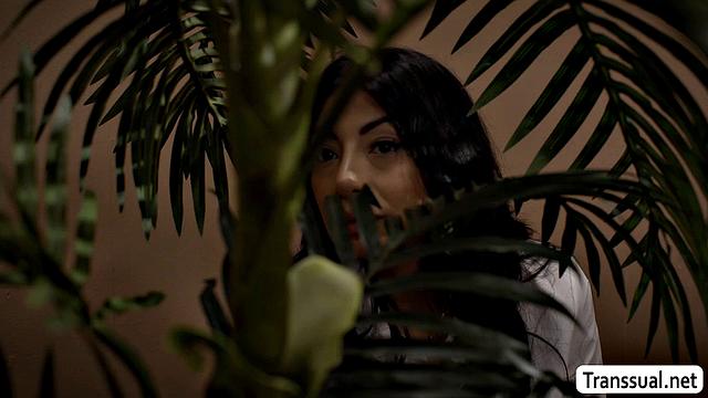 I should fuck my Asian secretary's pussy