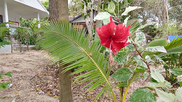 Pickup and Fuck - Pink Bikini Anal