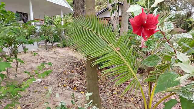 Pickup and Fuck - Pink Bikini Anal