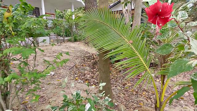 Pickup and Fuck - Pink Bikini Anal