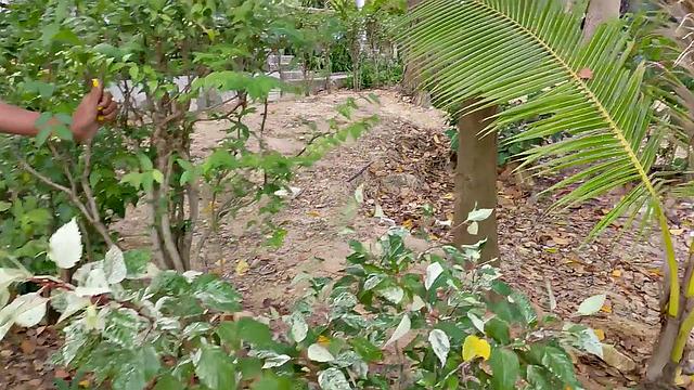 Pickup and Fuck - Pink Bikini Anal