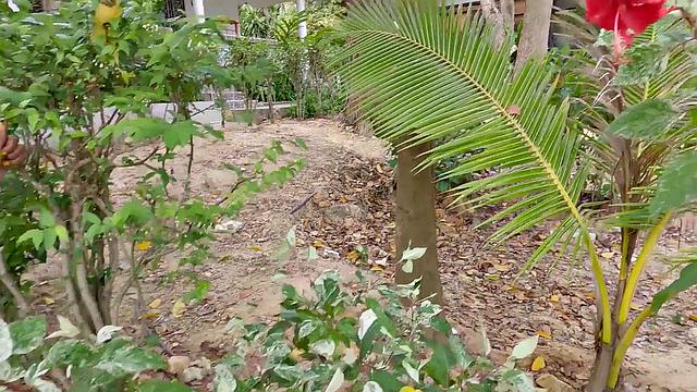 Pickup and Fuck - Pink Bikini Anal