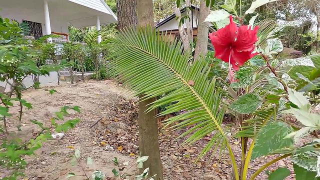 Pickup and Fuck - Pink Bikini Anal