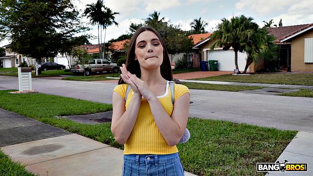 Young Beauty By The Pool