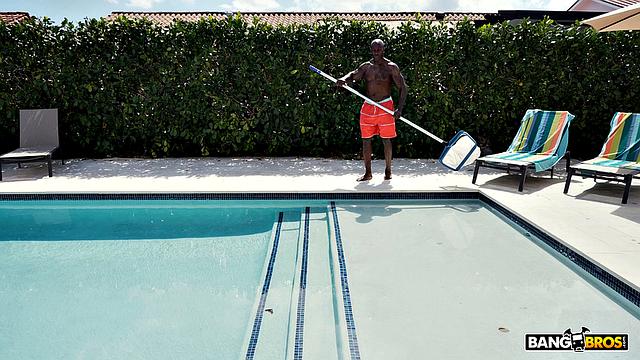 Young Beauty By The Pool