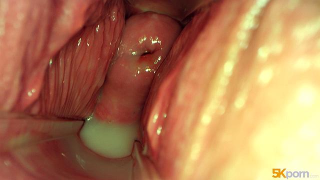 Gabbie's Perfect Holes