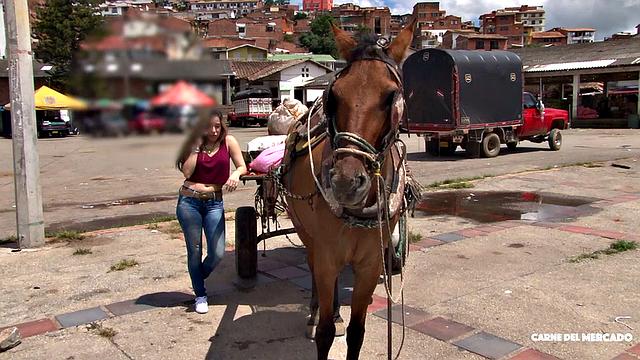 Country Girl Gone Naughty